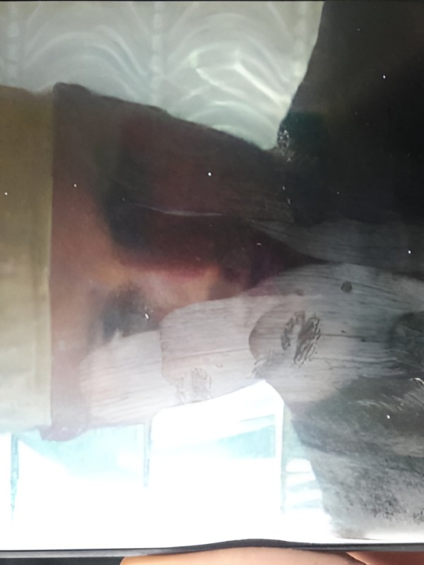 Тамара привлекательная девушка из Хабаровска цена от 2000 руб